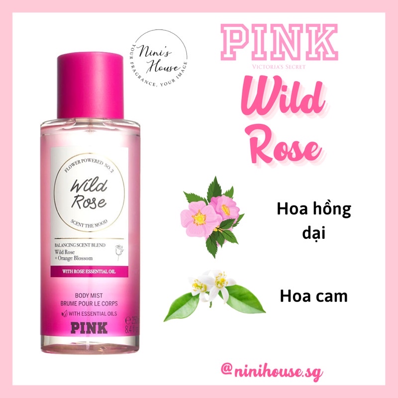 [Hàng Mỹ] Xịt thơm body mist Victoria’s Secret PINK mùi Wild Rose 250ml