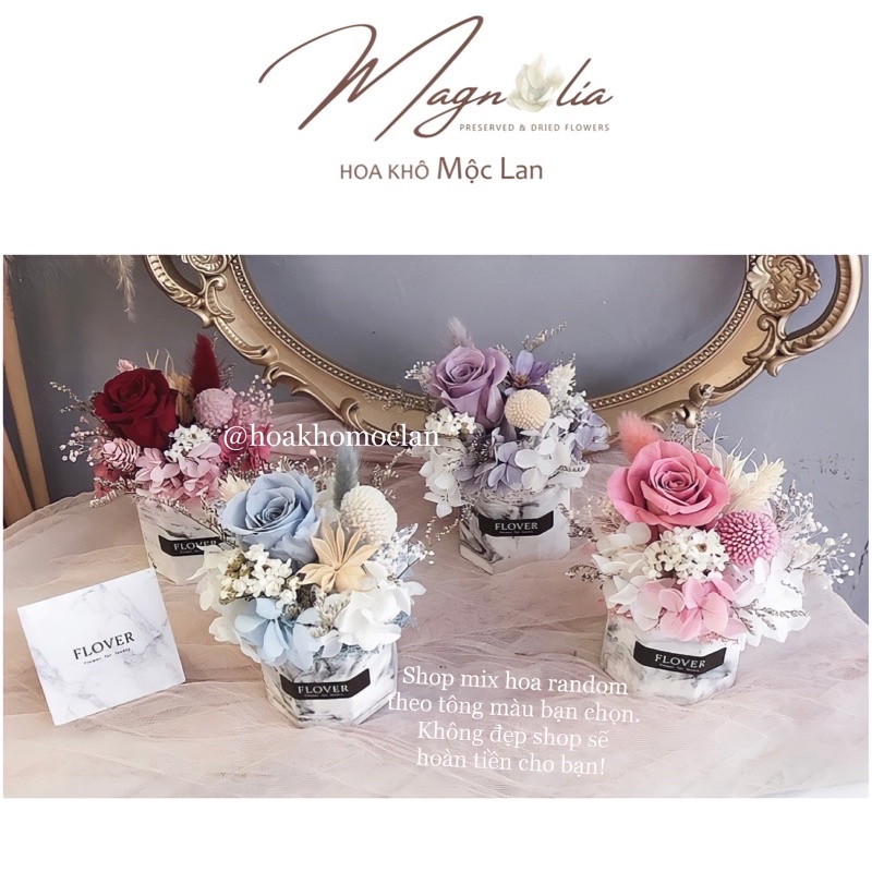 Chậu hoa hồng bất tử nhiều tông màu decor, hoa khô vĩnh cửu