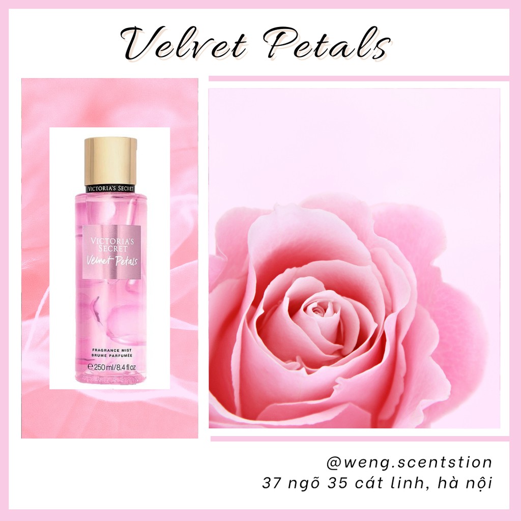 Xịt thơm toàn thân Victoria's Secret mùi Velvet Petals