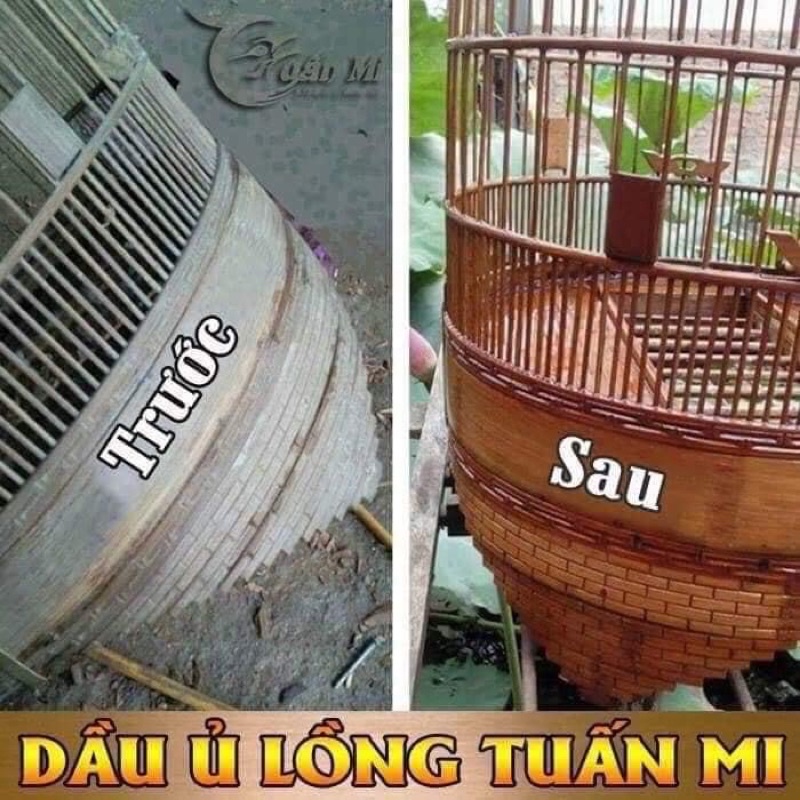 DẦU Ủ LỒNG TUẤN MI