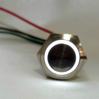 220V LED 16mm Push Button Switch Waterproof with Wire Connector Yellow