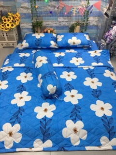 TRỌN BỘ DRAP MỀN COTTON POLLY