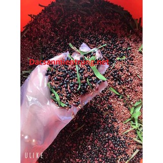 Trà Gạo Lứt Đậu Đen Xanh Lòng