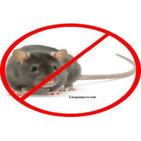 Thuốc diệt chuột sinh học Klerat 0.005% (Sygenta - Thụy Sỹ)