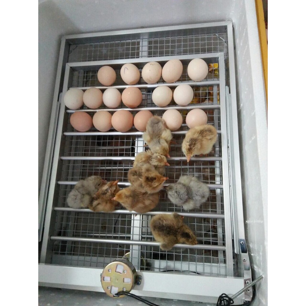 2 khay đảo trứng tự động khay nhôm đảo lăn số lượng 112 trứng (dùng cho máy ấp trứng)