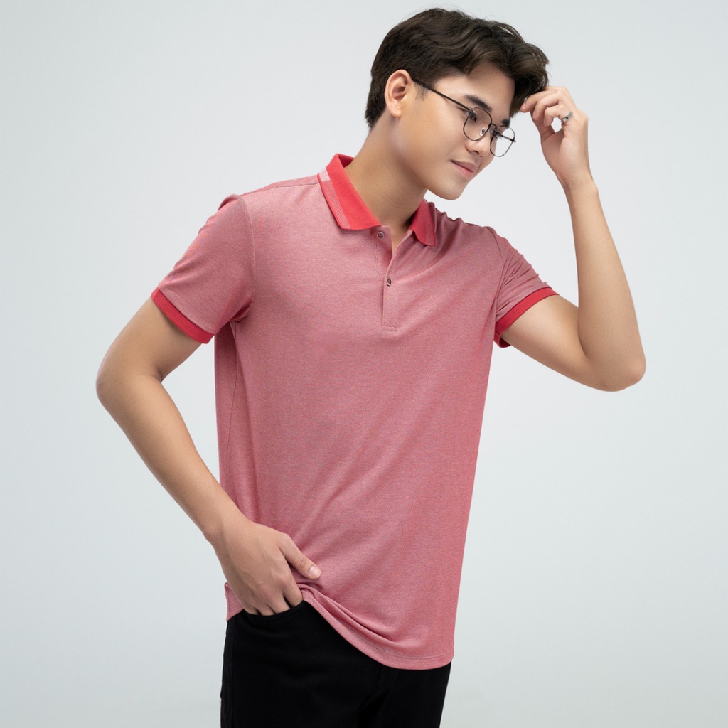 Áo polo nam YODY phông tay ngắn, cổ bẻ chất vải cotton mắt chim, chuẩn phom xuất xịn APM3299