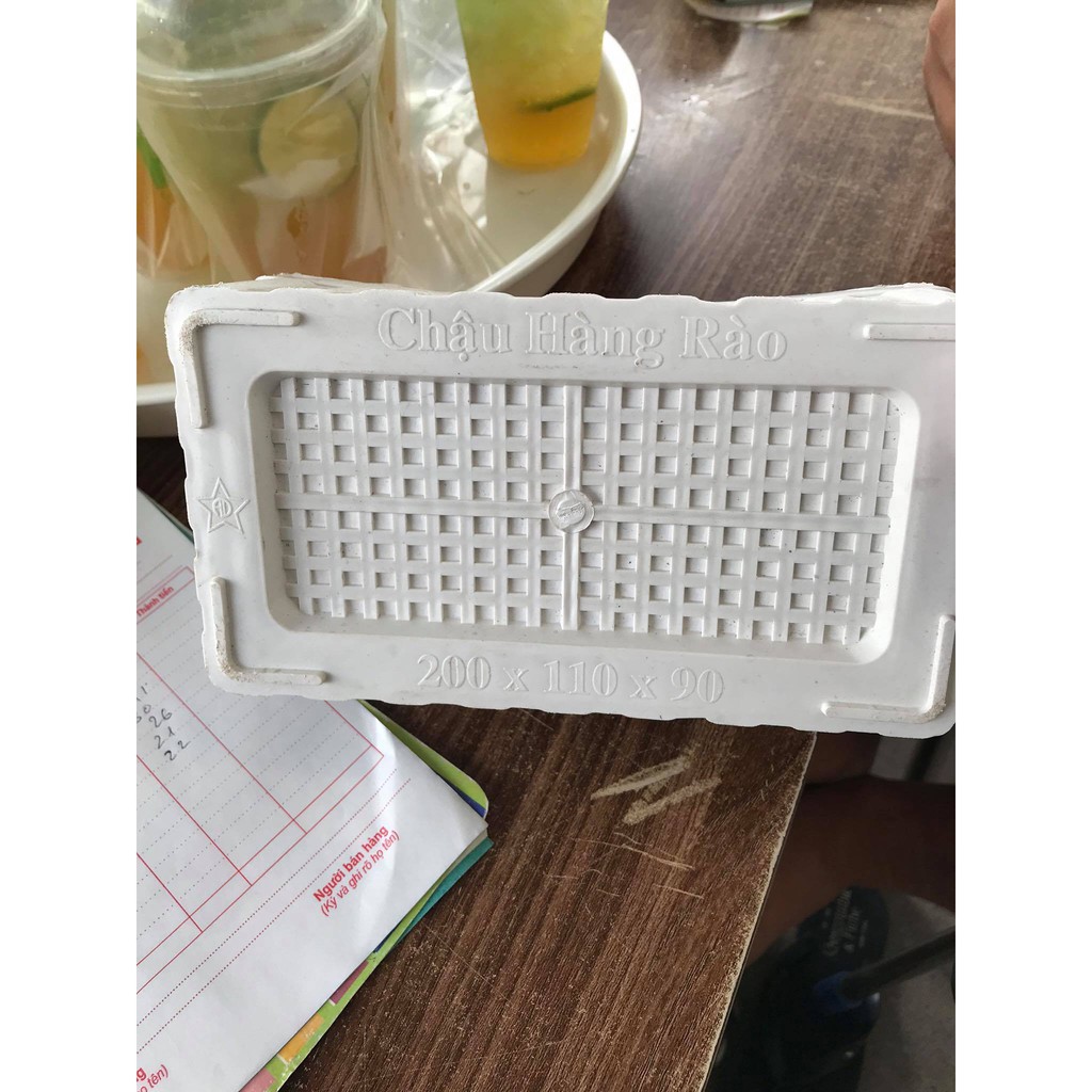 Chậu nhựa hàng rào nhọn size 3 loại đẹp, trồng hoa, cây cảnh, cắm hoa giả để bàn