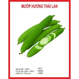 Hạt giống mướp hương Thái 10 hạt