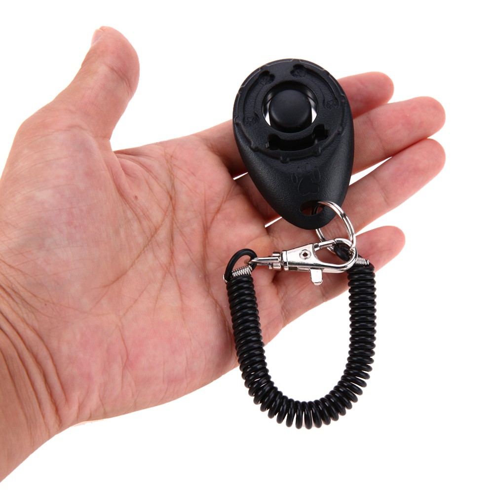 1 Cái Móc Khóa Huấn Luyện Chó Có Âm Thanh Điều Chỉnh