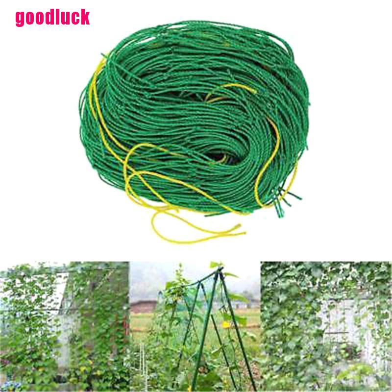 Lưới Trồng Cây Dây Leo Bằng nylon Tiện Lợi