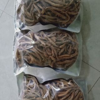 Sâm dây Ngọc Linh size to