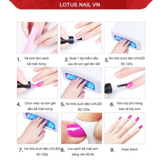 Sơn gel TG cao cấp chai 15ml