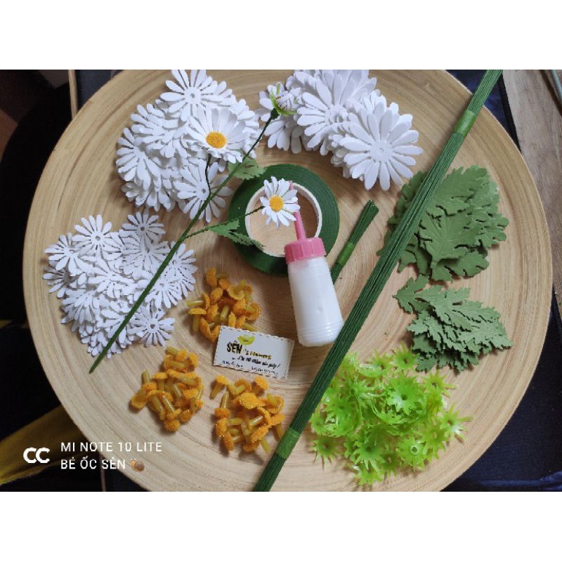 Set nguyên liệu Cúc hoạ mi - Cánh lệch