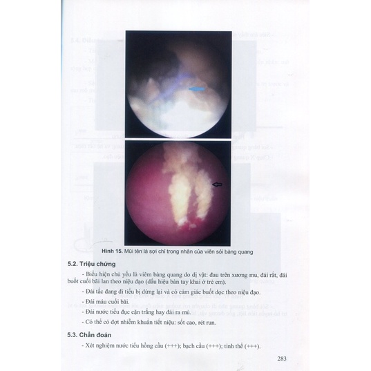 Sách - Bài giảng bệnh học ngoại khoa
