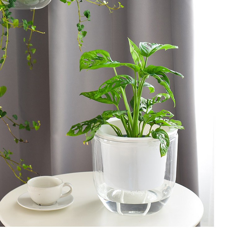 Chậu nhựa treo tự tưới thuỷ sinh- Dây treo kim loại chắc chắn