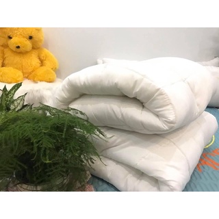 Ruột Chăn Phao Trắng Chuẩn Hàng khách sạn 5⭐️