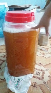 Nước rửa bát enzym bồ hòn 500ml