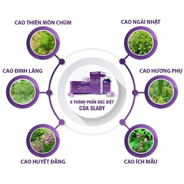 Slady - Hết khô hạn, cân bằng nội tiết tố nữ