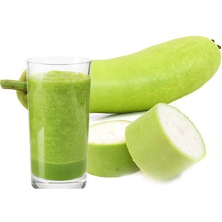 Hạt giống bầu nhập khẩu-  chuyên dụng.