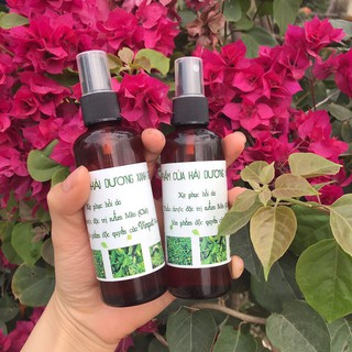 Xịt thảo dược trị nấm vẩy gầu, nấm đồng xu, viêm da cho chó mèo ( lọ 100ml )