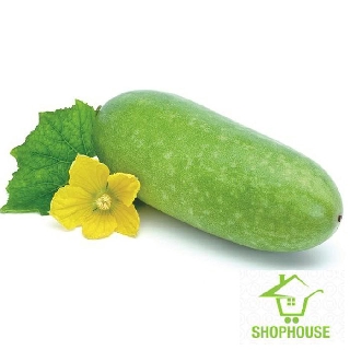 shophouse Hạt giống bí đao xanh ( Gói 10 hạt)  SHOP HOUSE  TẾT KHUYẾN MẠI