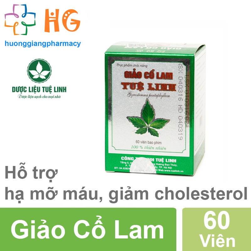 Giảo cổ lam Tuệ Linh Giúp hạ mỡ máu Giảm cholesterol toàn phần Ngăn ngừa xơ vữa mạch máu Hạ huyết áp