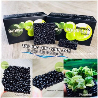 Giá thể dinh dưỡng Nutri Pad cho bucep ráy dương xĩ