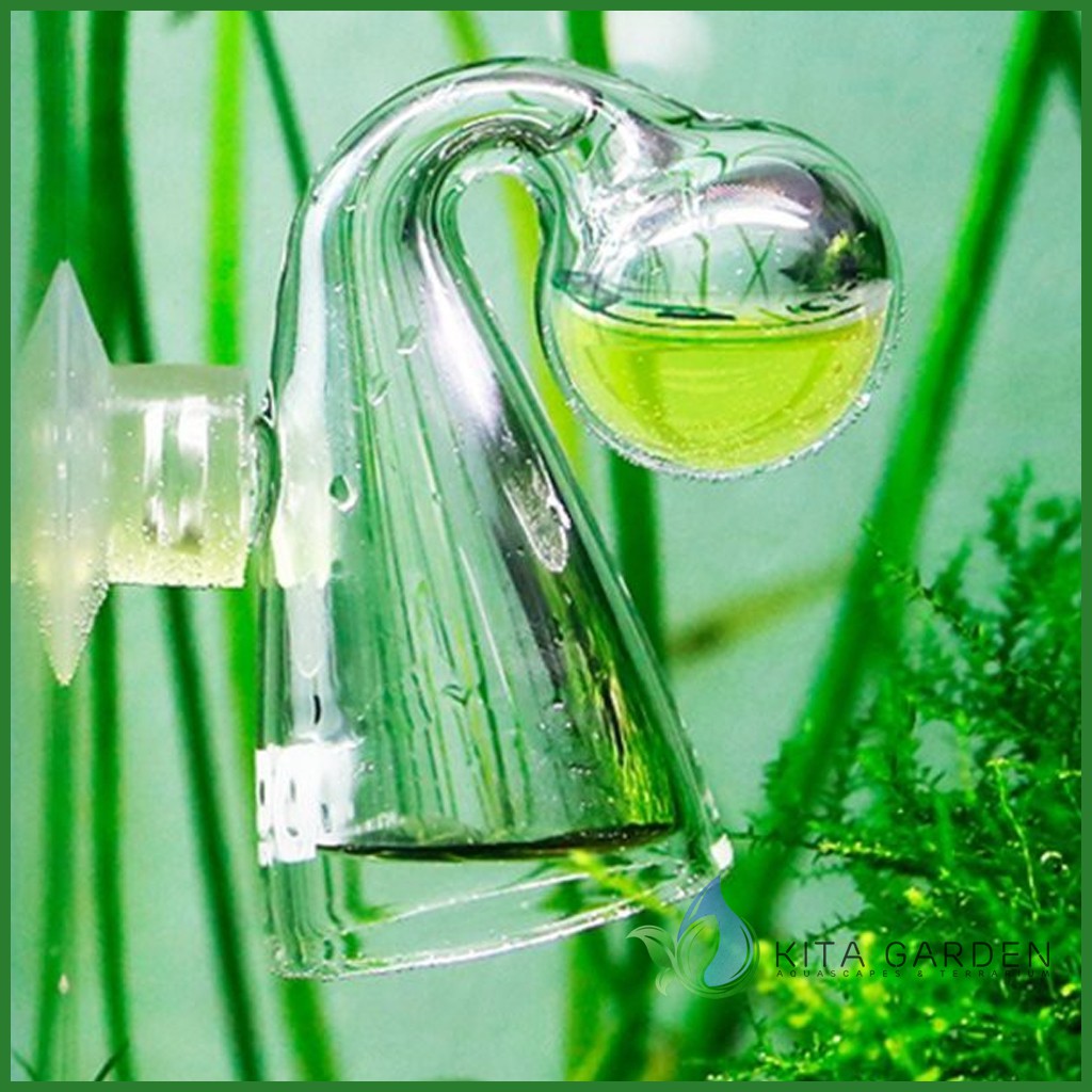 TEST CO2 THỦY TINH HÌNH CHÓP