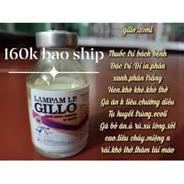 GILLO LAMPAM - BÁCH BỆNH CHO GÀ ĐÁ