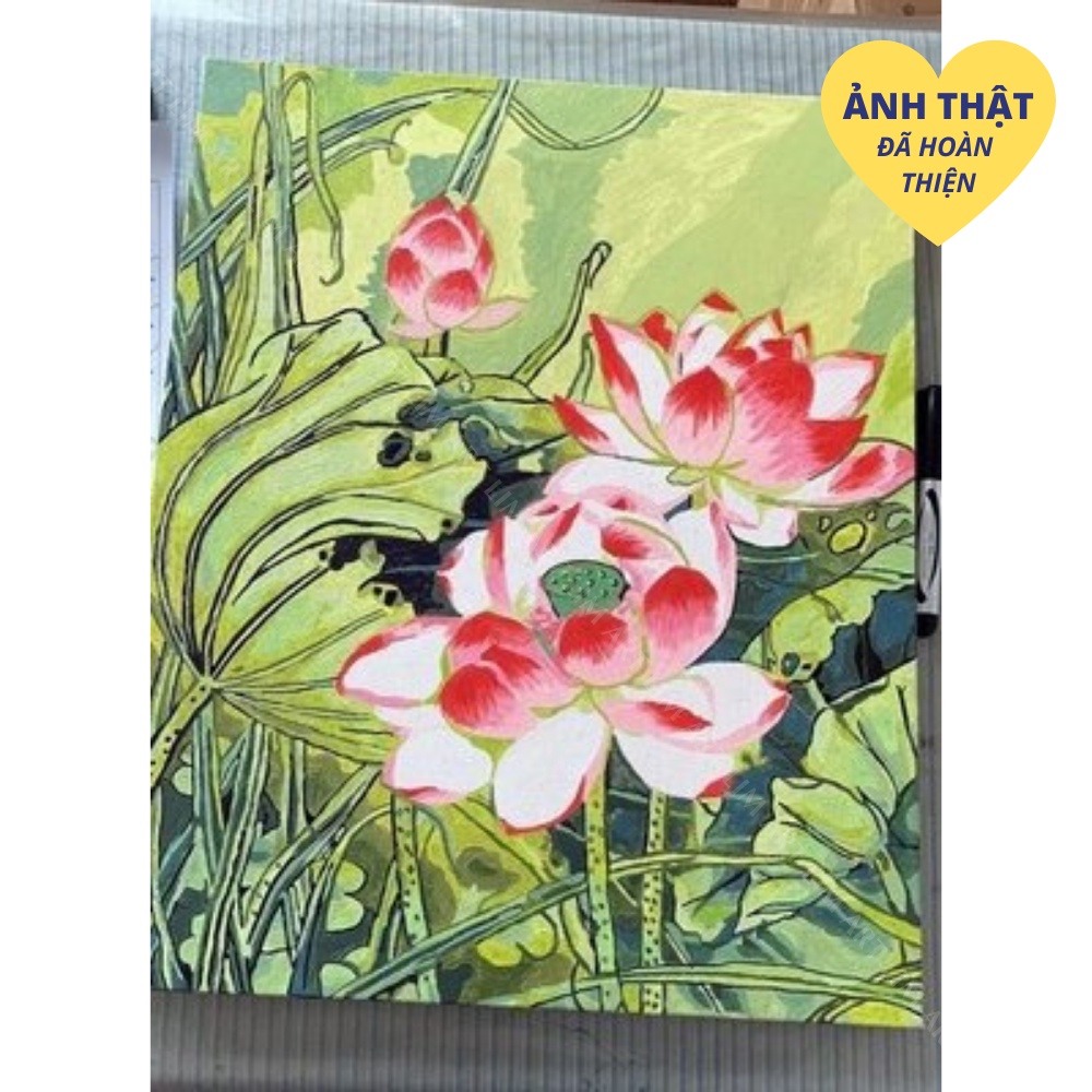 Tranh sơn dầu số hoá có khung LIM Art - Tranh tô màu theo số Hoa sen, hoa súng