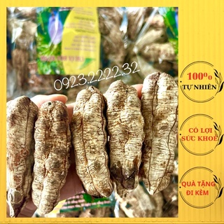 Chuối rừng cô đơn