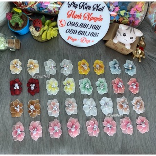 Set 2 bông Hoa bột ôm móng nail