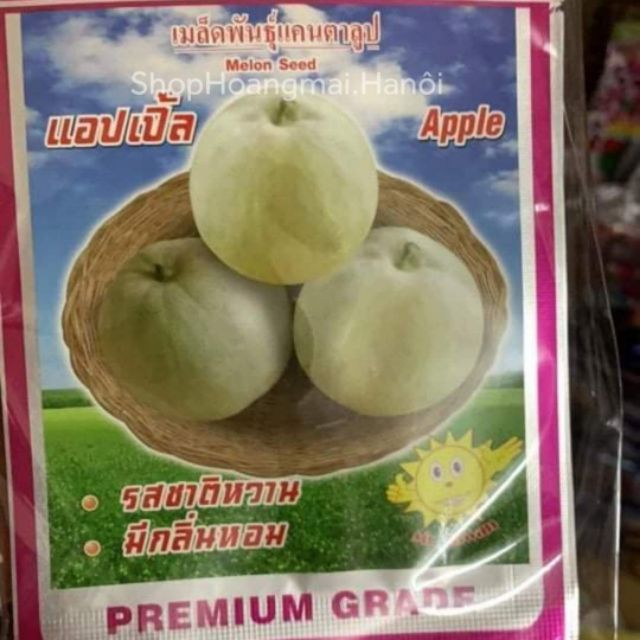 DƯA LÊ TRẮNG SIÊU NGỌT THÁI LAN