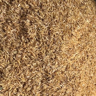 vỏ trấu trồng rau,hoa kiểng, trộn đất trồng cây trong chậu ,ủ nấm,gói 1kg