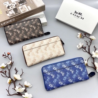 VÍ COACH XE NGỰA