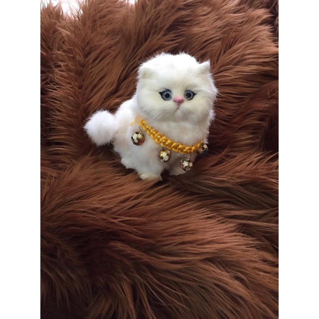 👑 THẢM LÔNG CHỤP ẢNH QUẦN ÁO - TRẢI SÀN STUDIO | NÂU GẤU BROWN | BigBuy360 - bigbuy360.vn