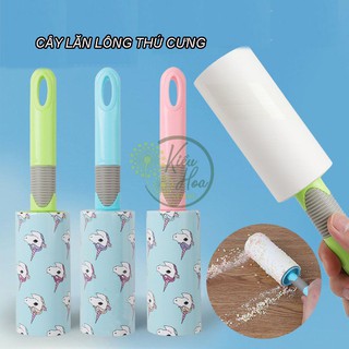 Cây lăn lấy lông - bụi (Kiều Hoa Store)