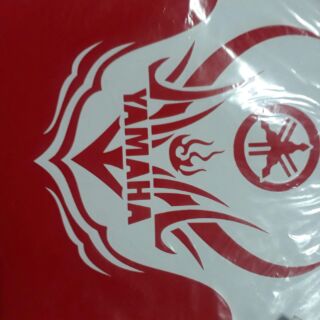 Decal dán mõm xe đẹp