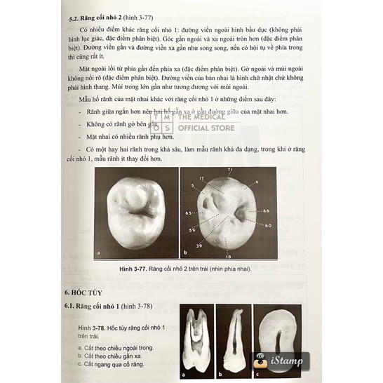 Sách - Giải Phẫu Răng Tmos