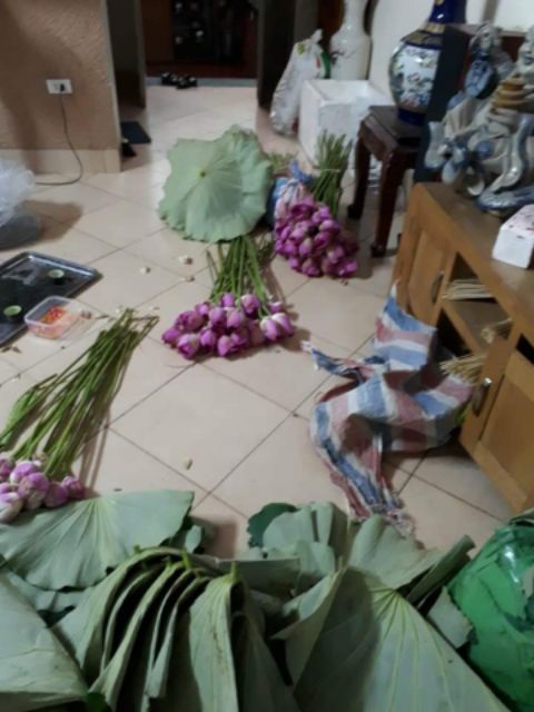 Trà Ướp Hoa Sen Hồ Tây Chính Hiệu!!!!!!😃😃😃😃😃