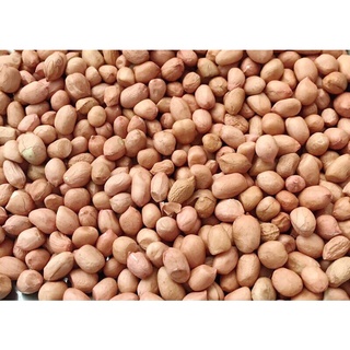 ⚡️NOWSHIP⚡️ĐẬU PHỘNG HẠT HỮU CƠ GỐC BẮC