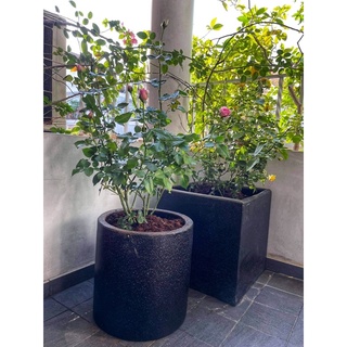 Chậu đá mài VUÔNG 36*36*36 - Đen