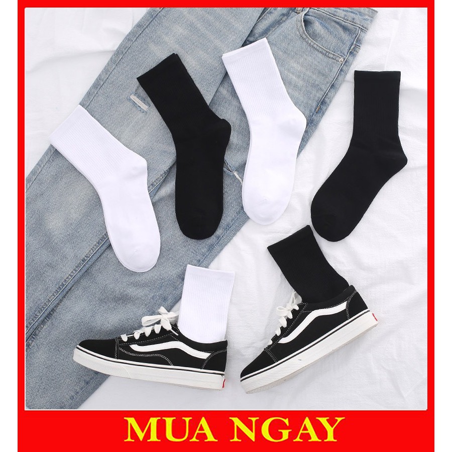 Tất nam nữ trơn cao cổ TN34