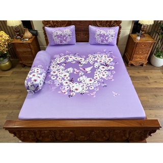 Bộ chăn ga gối Thun siêu mát Lạnh 5D Cao Cấp