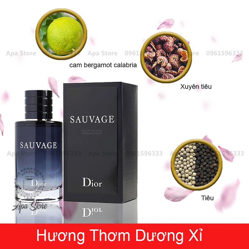 Nước Hoa Nam Sauvage 3 Phiên Bản, Hương Thơm Quyến Rũ Nam Tính | Thế Giới Skin Care