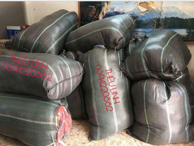 Săn siêu phẩm Sườn XÁM Thượng Hải khách chốt trên live | BigBuy360 - bigbuy360.vn