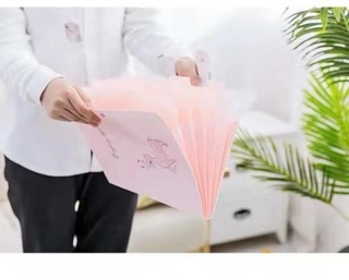 Combo 10 cặp đựng tài liệu (sỉ 18k)