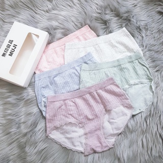Quan lot nu cotton bigsize
