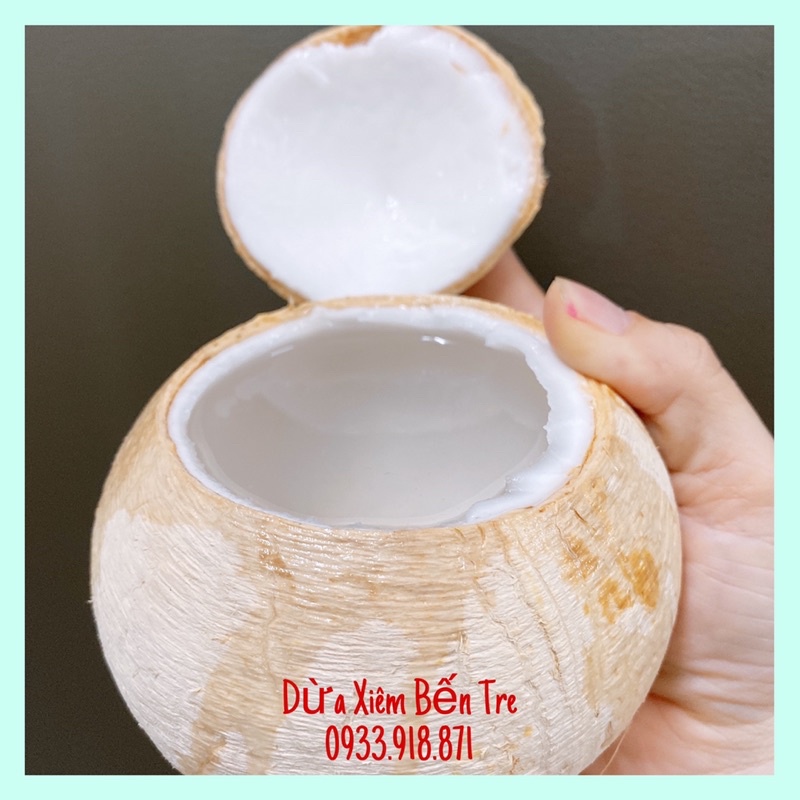 Combo 5 trái dừa xiêm Bến Tre gọt trọc