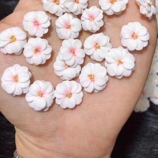 Hoa Thược dược
